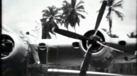 A man stands on a raised platform near a plane. In the background there are palm trees.