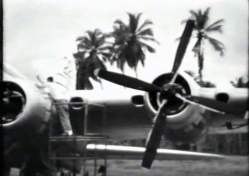 A man stands on a raised platform near a plane. In the background there are palm trees.