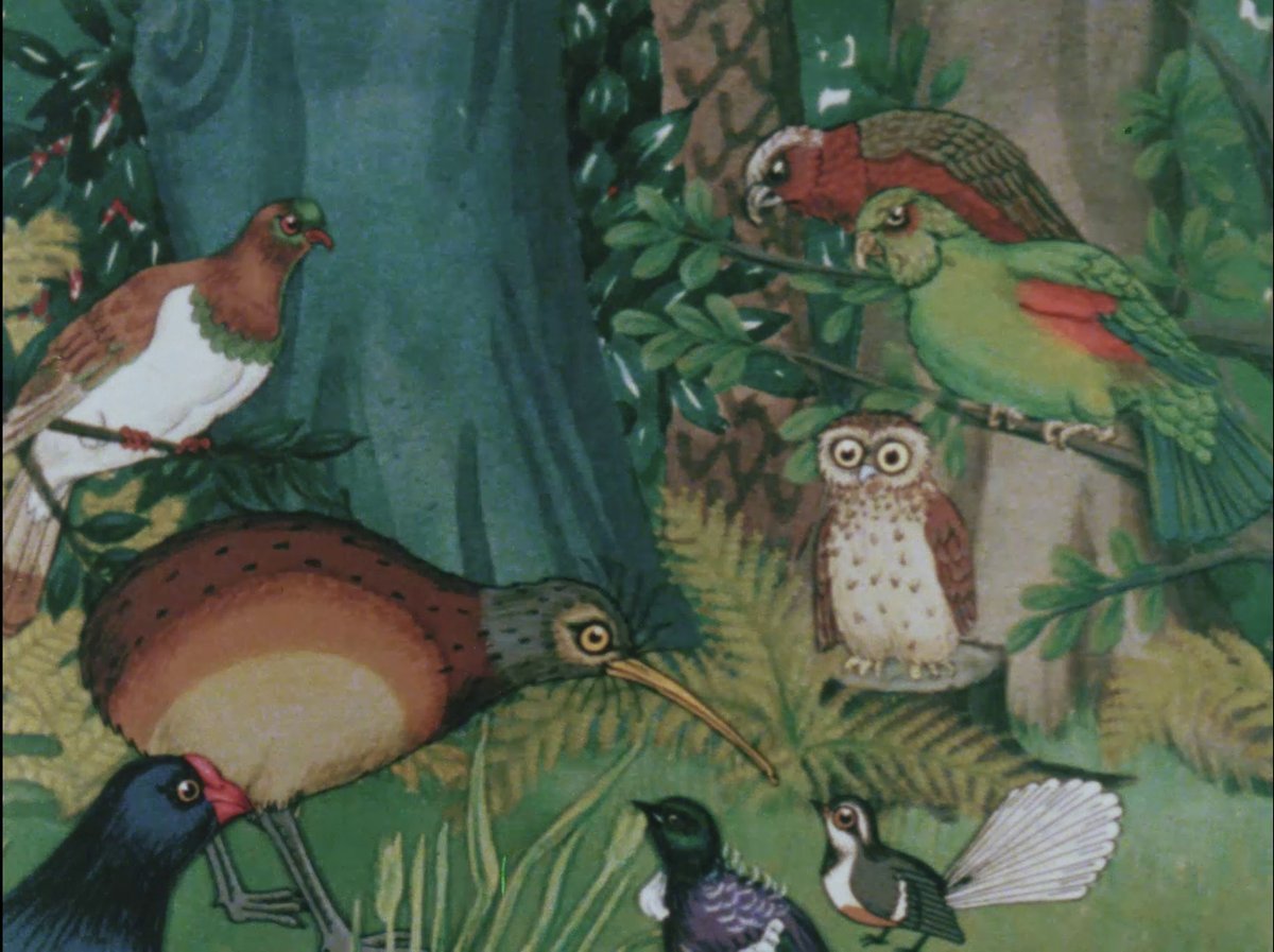 The animated history of Aotearoa New Zealand