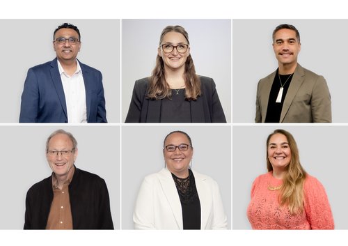 The Ngā Taonga Board of Trustees.