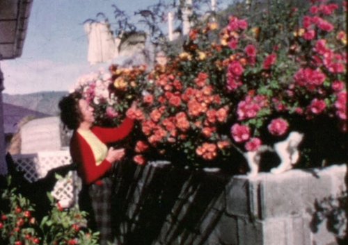 A woman in a red cardigan tends to a flowering bush in a garden.