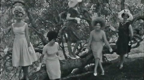 5 well dressed ladies are sitting or standing on a large fallen tree.