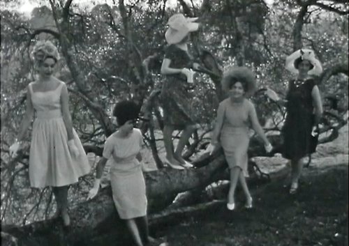 5 well dressed ladies are sitting or standing on a large fallen tree.