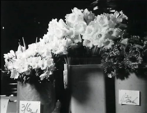 three vases with flowers inside them.