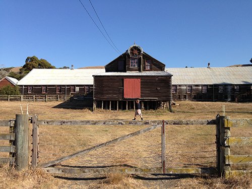 A woolshed with blue sky above. A person is walking in front of the woolshed.