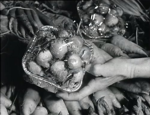 A hand is holding a pottle of fresh tomatoes.