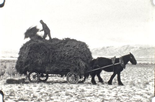 Old home movie footage of farmer at work.