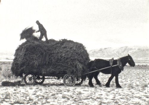 Old home movie footage of farmer at work.