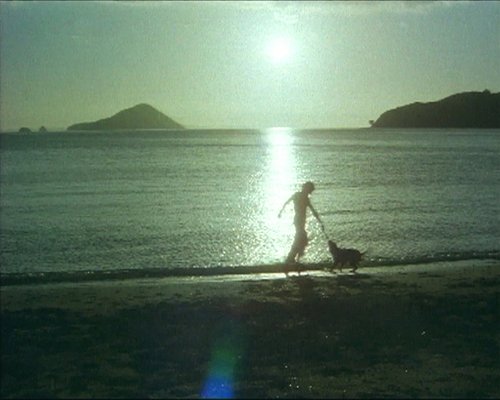 Person with dog on the beach.