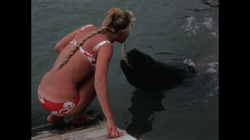 Still from a film by Tauranga amateur filmmaker Norman Blackie - Woman feeding a seal with a fish held between her teeth.
