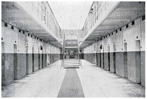 Cells at Waikeria Prison.
