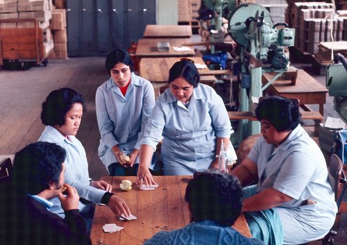 Pacific Islands migrant workers playing cards during a lunch break in an Auckland factory.