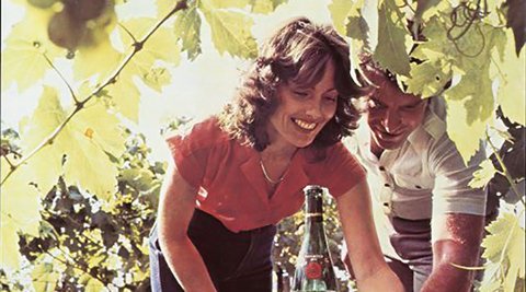 A smiling man and woman are underneath the vines with a wine bottle in the foreground.