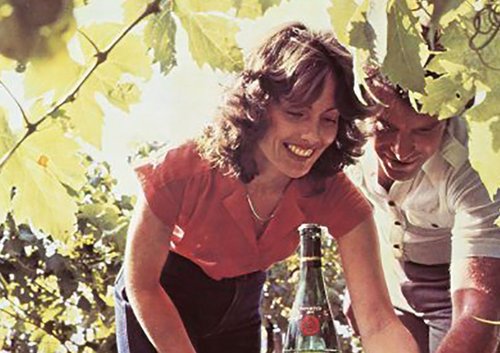 A smiling man and woman are underneath the vines with a wine bottle in the foreground.